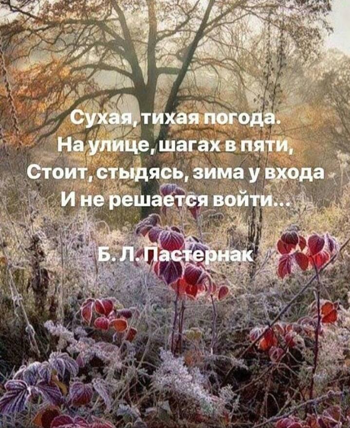 Nataly - 24  2018  01:08