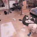 �������, ��� �� �..... �� ������� ���� ����������