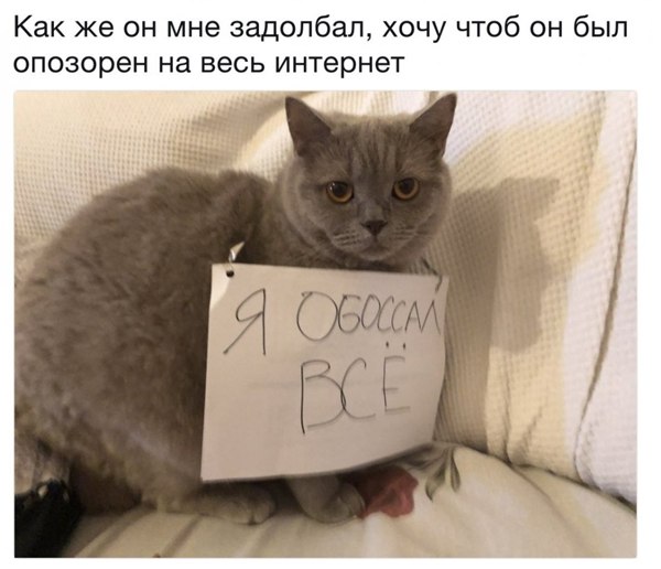  ( ) - 18  2018  17:38