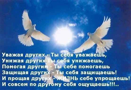   ,    . - 31  2019  11:26