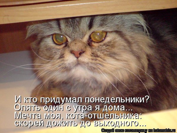   :3 - 21  2019  20:50