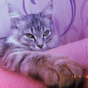 ���� Alexandr, ����, 51 ��� - ��������� 2 ������� 2018 � ������ ������ ��������