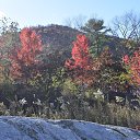 ���� Igor, ��� ����, 62 ���� - ��������� 7 ������ 2018 � ������ �Bear Mountain�