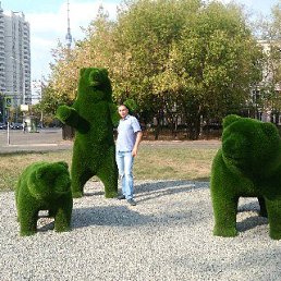 ����, ������, 38 ���