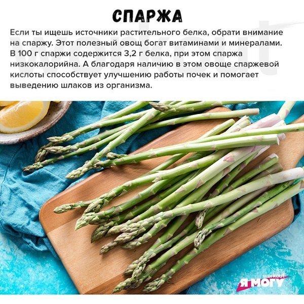 Разбираемся: какие продукты богаты растительным белком.#советы@ican #инфографика@ican
