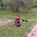  , , 41  -  2  2018      ,,-,