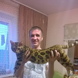 ������, �����������, 42 ����