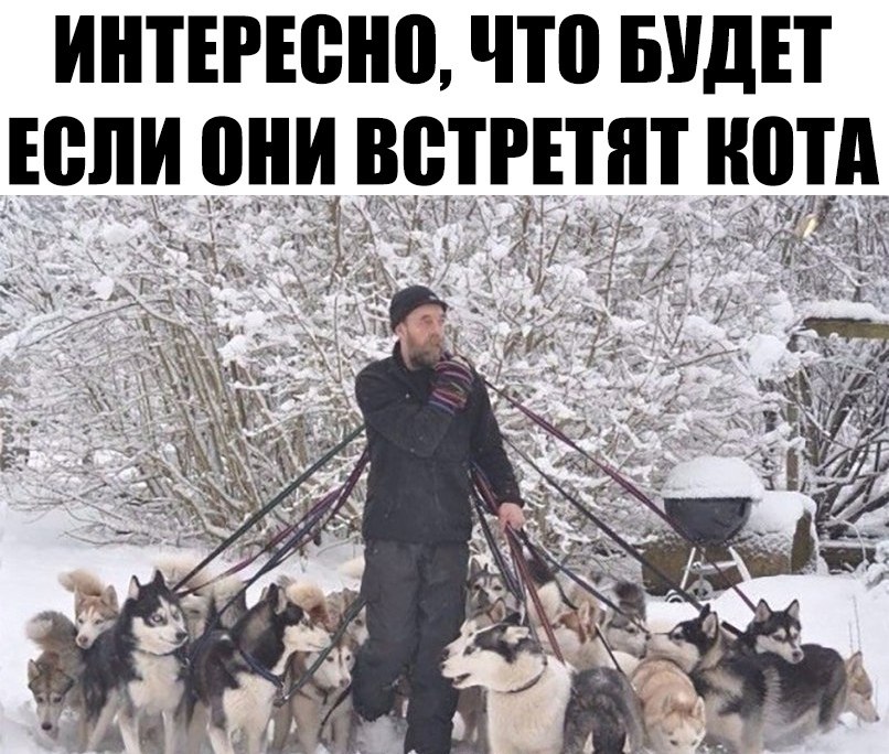  - 20  2019  16:53