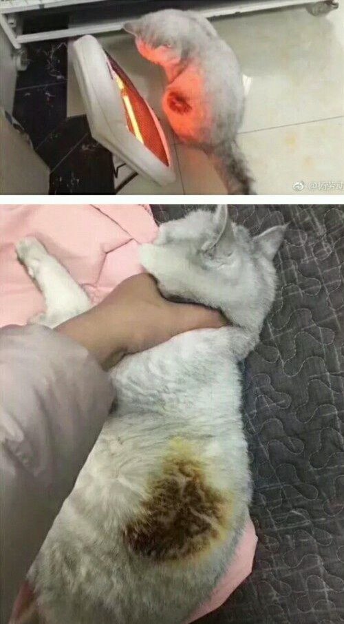      .          ...