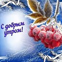 ���� ������, ������, 40 ��� - ��������� 1 ����� 2019 � ������ ���� ����������