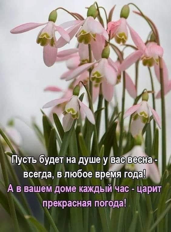   ,    . - 18  2019  17:09