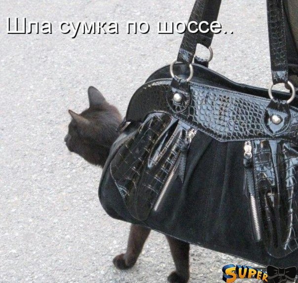    - 22  2018  16:48