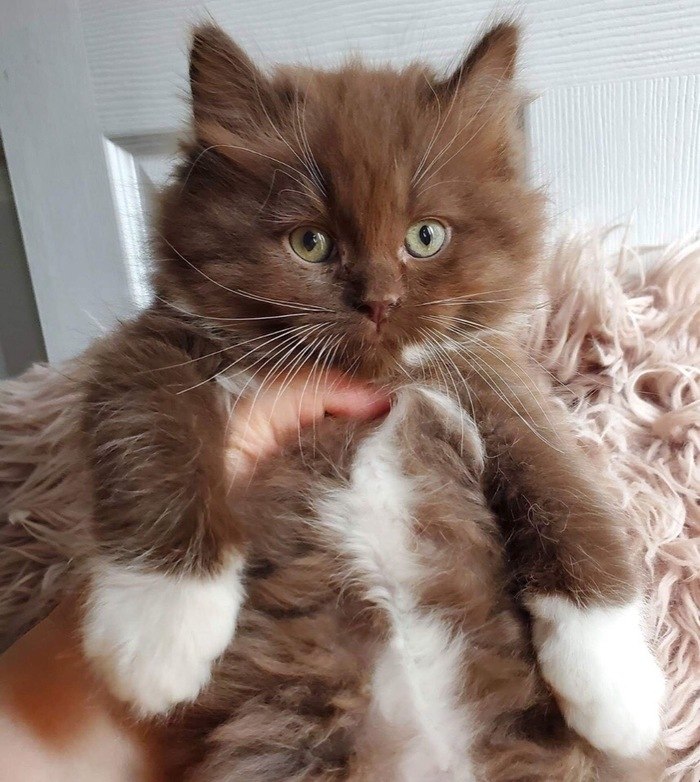    :3