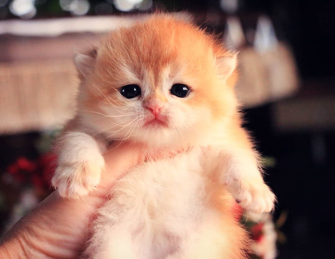     :3 - 3