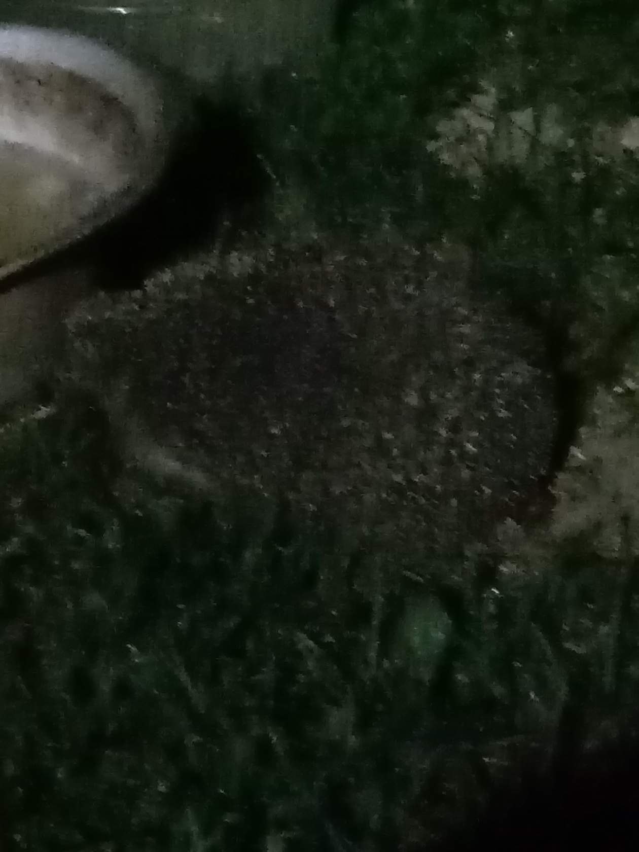  - 26  2019  04:11 - 2