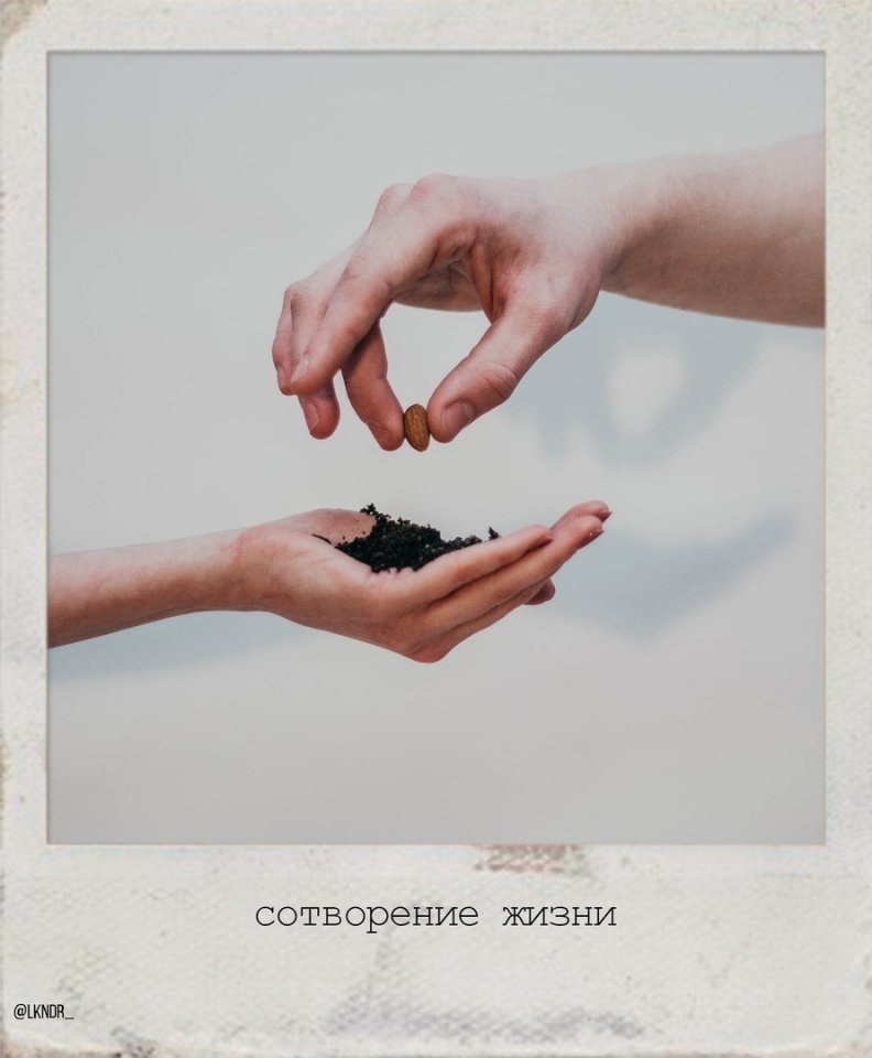  -    ,  ,           ... - 5