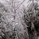 ���� ������, ��������� - ��������� 9 ������ 2019