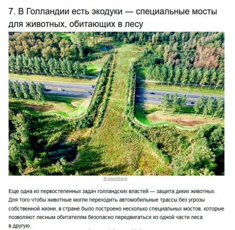     - 7