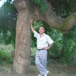 ����, �����, 71 ���