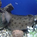 ���� �������, �������, 41 ��� - ��������� 11 ������� 2019 � ������ ���� ����������