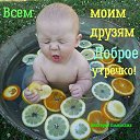 ���� ������ ��������, ���������, 52 ���� - ��������� 24 ������� 2019 � ������ ���� ����������