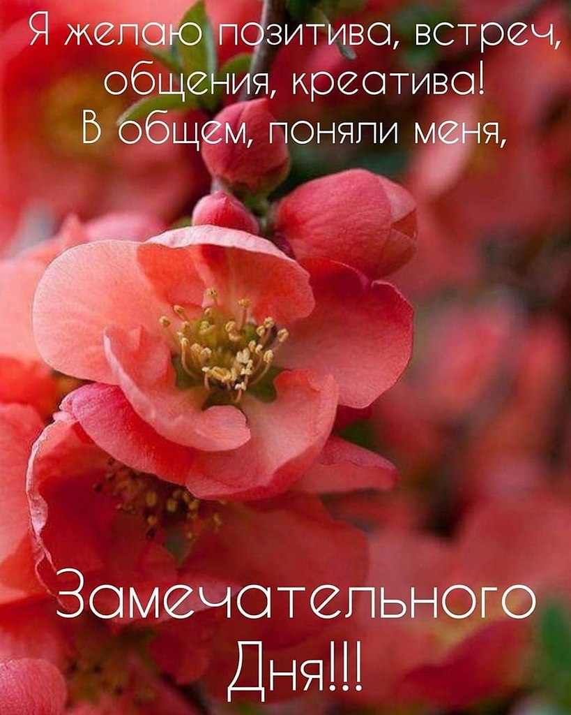   ,    . - 15  2019  15:05 - 2