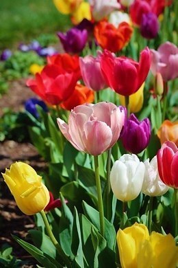   ,    . - 10  2019  17:43 - 3