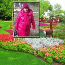 ���� �������, ������ ��������, 67 ��� - ��������� 1 ������� 2019 � ������ ������ ����� �������Ȼ