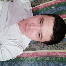 ����, ������, 46 ���