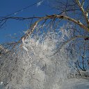 ���� ����� ���, �����-��������� - ��������� 16 ��� 2019 � ������ �������� ��������