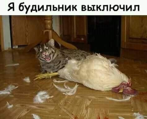 '' - 7  2019  06:30