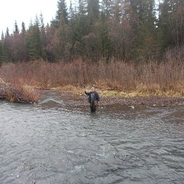 ���� �������, ����������, 72 ���� - ��������� 8 ������ 2019