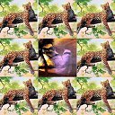 ���� �rat, ����, 36 ��� - ��������� 25 ������ 2019 � ������ ���� ����������