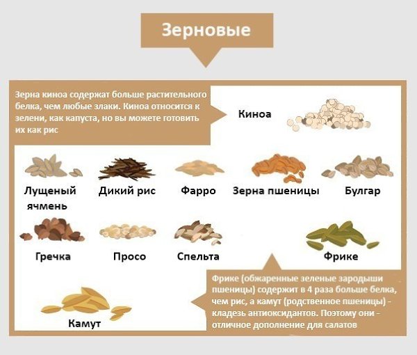 Шпаргалка, которая поможет создавать вам всегда новые и вкусные салаты! ... - 5