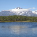 ���� ������, ����������, 68 ��� - ��������� 18 ��� 2019 � ������ ���� ����������