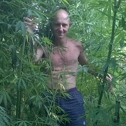 �����, �����������, 46 ���