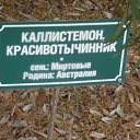 ���� ����, ������� - ��������� 13 ���� 2019 � ������ ����� 2019�