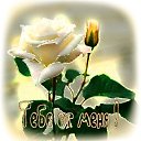 ���� �������, �����������, 50 ��� - ��������� 8 ������ 2019 � ������ ������