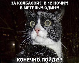   - 9  2019  03:50
