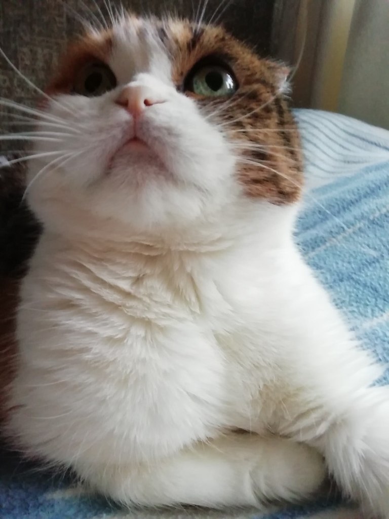        ?
