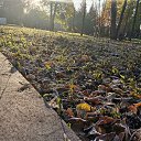  , , 50  -  4  2019   3.10.2019 