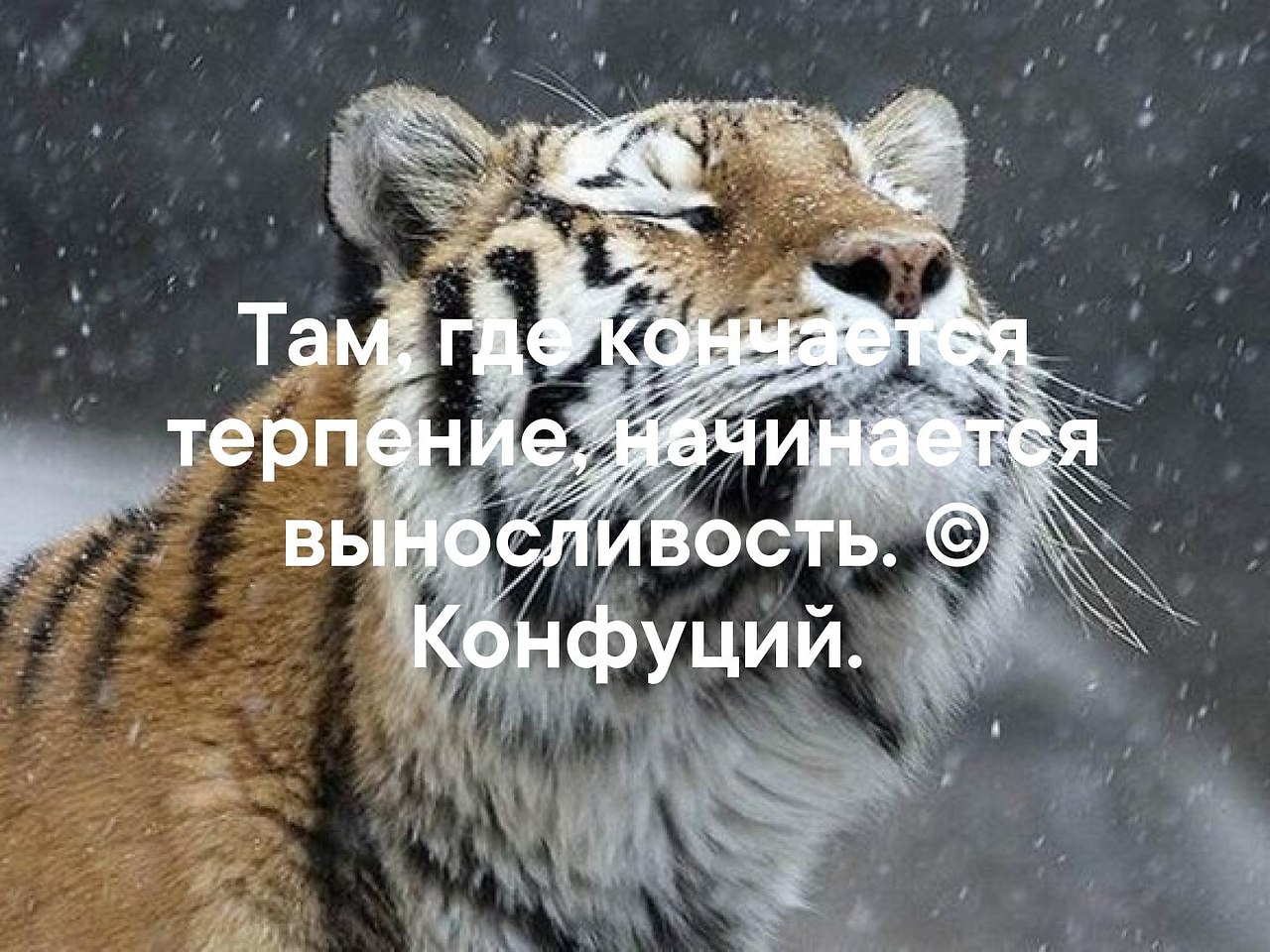    - 25  2019  03:46