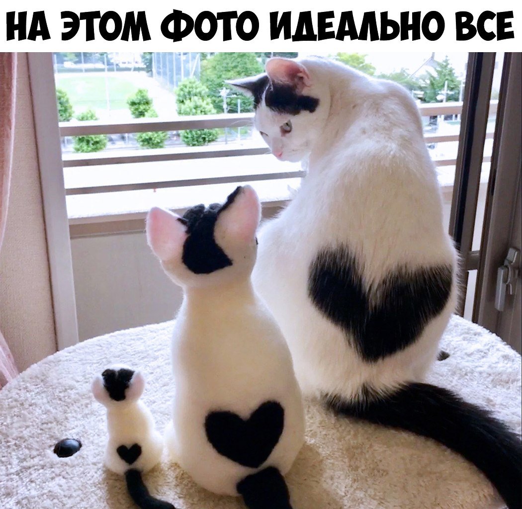    :D - 18  2019  03:34