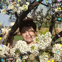 ���� �������, ����������, 73 ���� - ��������� 24 ��� 2019