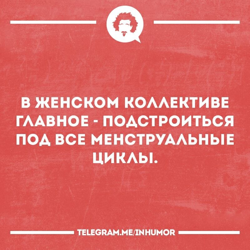   - 2  2019  03:43