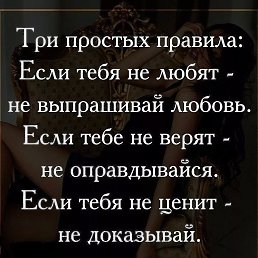 ����, ����������, 41 ���