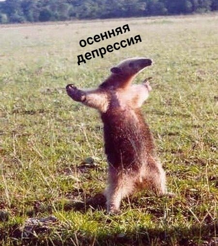   .  .
