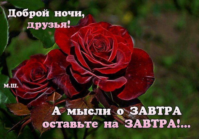   ,    . - 25  2019  21:07