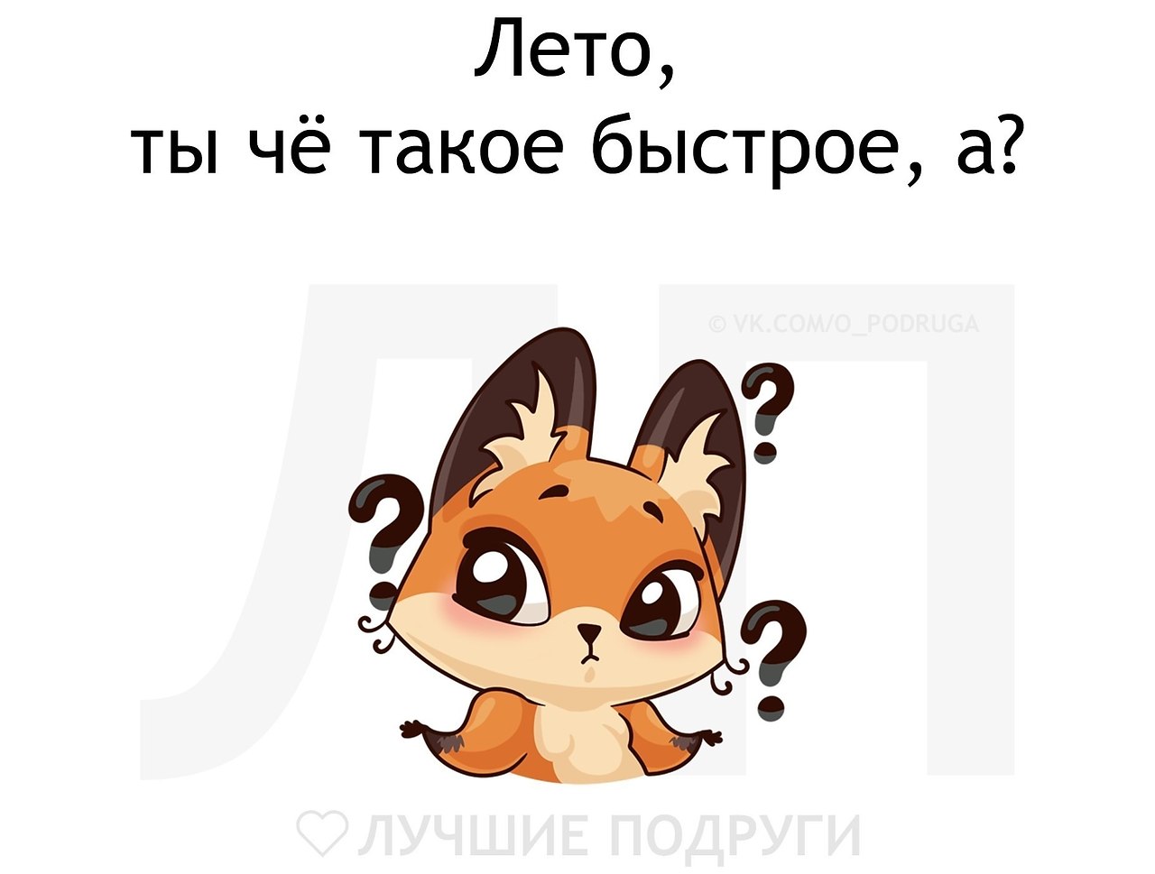   - 1  2019  19:27