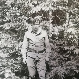 ���� �����, ���������, 55 ��� - ��������� 13 ������ 2019